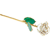 24K White Diamond Colored Rose with Gold Trim