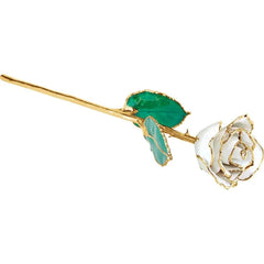 24K White Diamond Colored Rose with Gold Trim