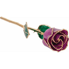 24K Gold Amethyst Colored Rose.