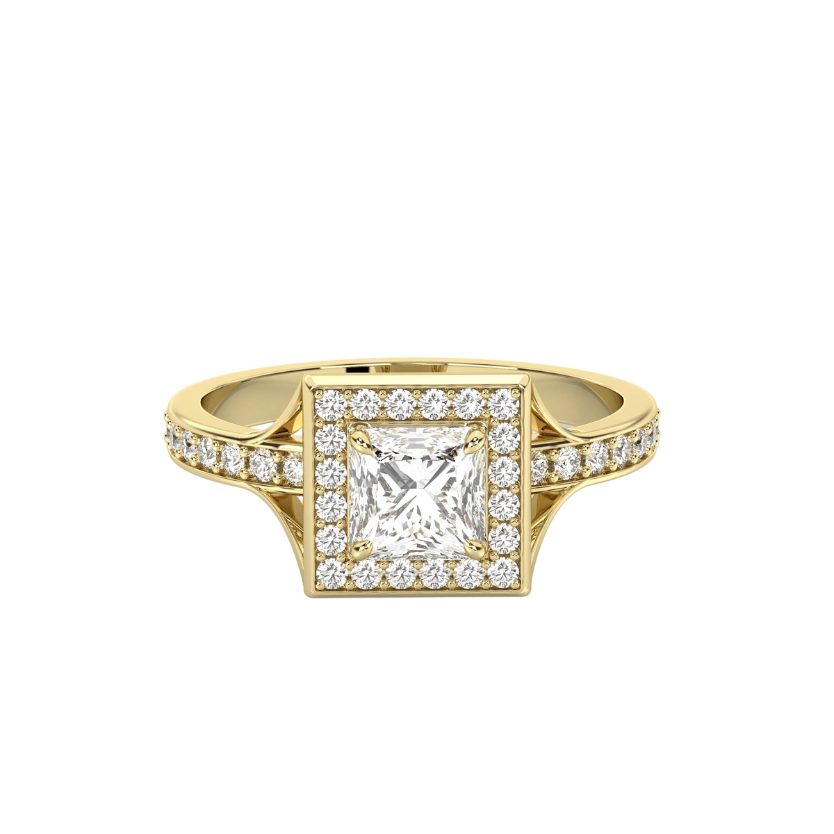 The Signature Collection