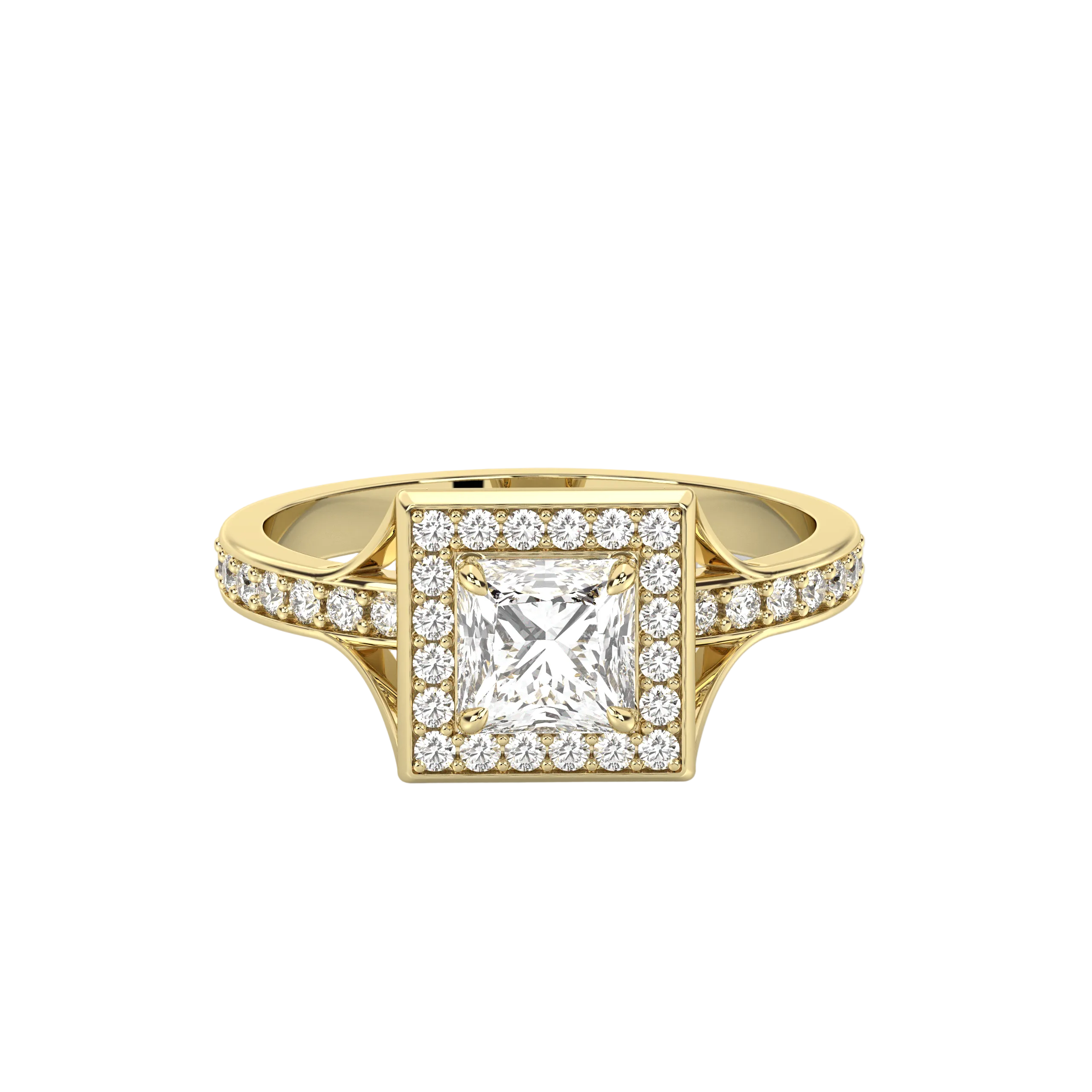 The Signature Collection