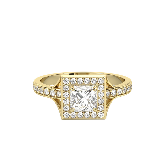 The Signature Collection