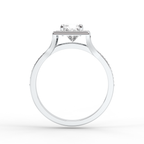 Signature Ring No. 1