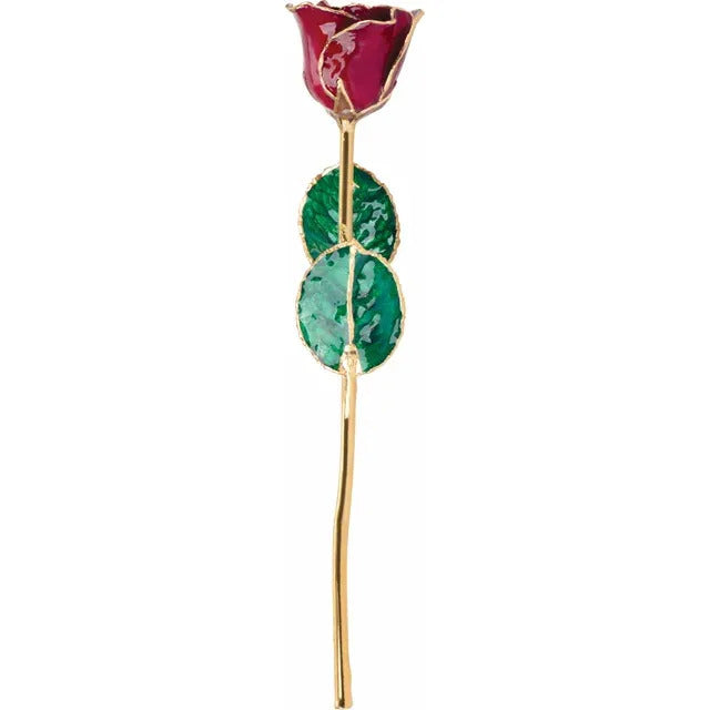 24K Garnet Colored Rose with Gold Trim Imagen secundaria del producto