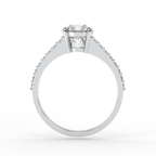 Signature Ring No. 3