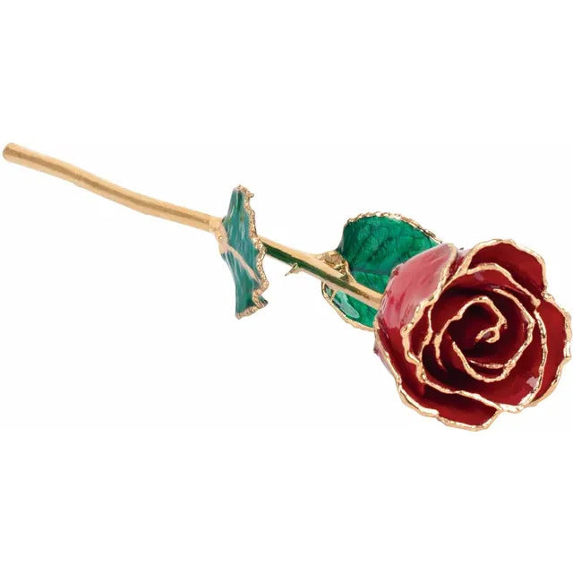 24K Ruby Colored Rose with Gold Trim Imagen principal del producto