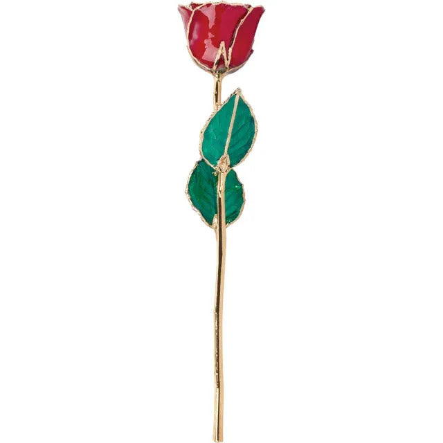 24K Ruby Colored Rose with Gold Trim Imagen secundaria del producto