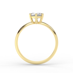 Signature Ring No. 5