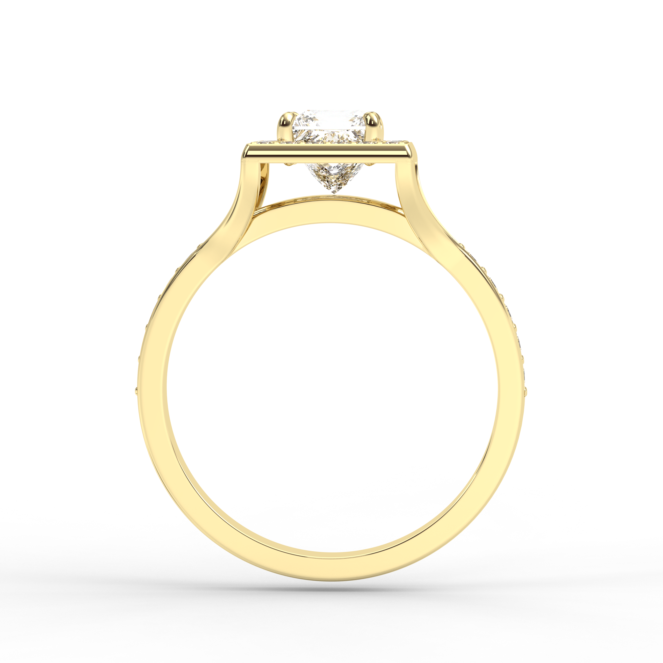 Signature Ring No. 1