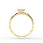 Signature Ring No. 6