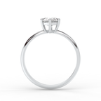 Signature Ring No. 5
