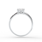 Signature Ring No. 6