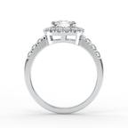 Signature Ring No. 2