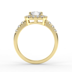Signature Ring No. 2