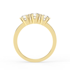 Signature Ring No. 11