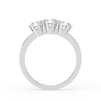 Signature Ring No. 11
