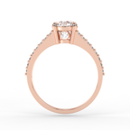 Signature Ring No. 3