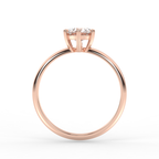 Signature Ring No. 5