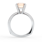 Signature Ring No. 12