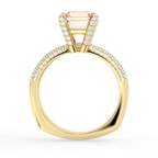 Signature Ring No. 12