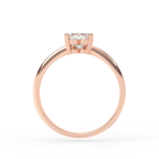 Signature Ring No. 6