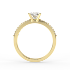 Signature Ring No. 13