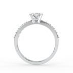 Signature Ring No. 13