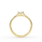 Signature Ring No. 14
