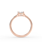 Signature Ring No. 14