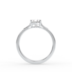 Signature Ring No. 14