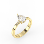 Signature Ring No. 14