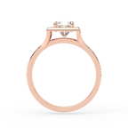 Signature Ring No. 1