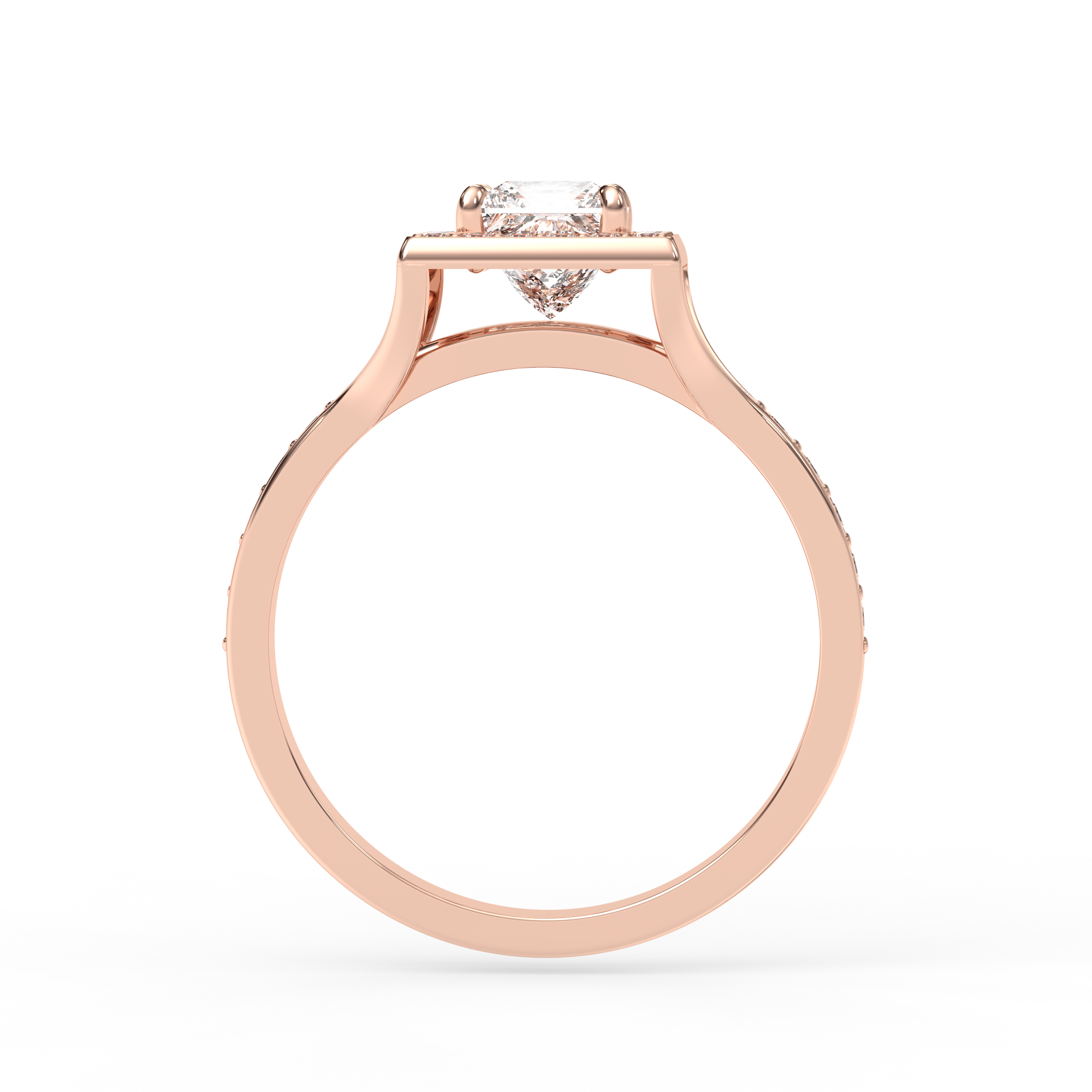 Signature Ring No. 1