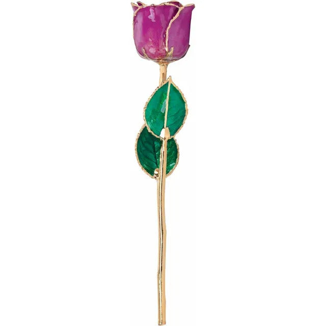 24K Gold Amethyst Colored Rose. Imagen secundaria del producto