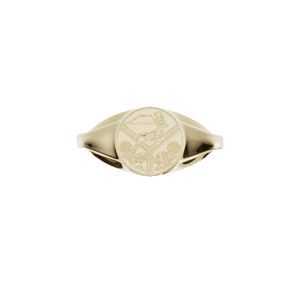 Rugby Ring Limited Edition